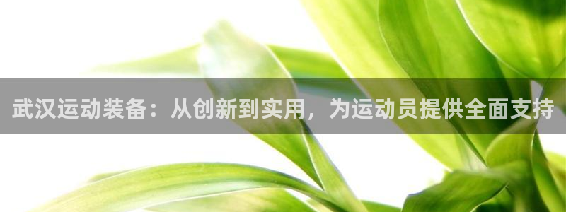 德国凯捷体育集团：武汉运动装备：从创新到实用，为运动员提供全