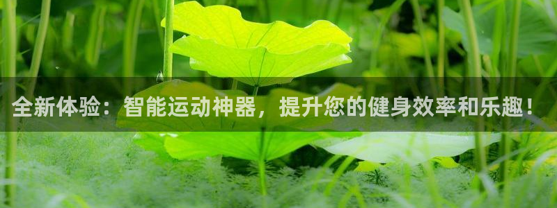 意昂平台体育：全新体验：智能运动神器，提升您的健身效率和乐趣
