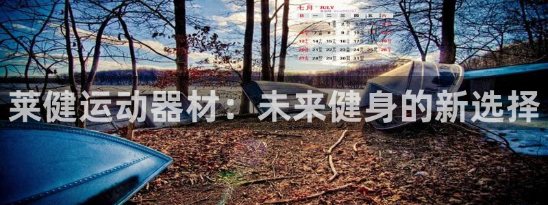 凯捷体育平台注册流程视频：莱健运动器材：未来健身的新选择