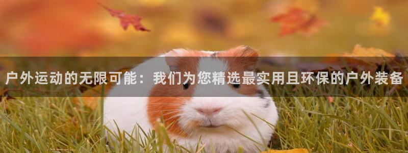 凯捷体育平台假的吗是真的吗：户外运动的无限可能：我们为您精选
