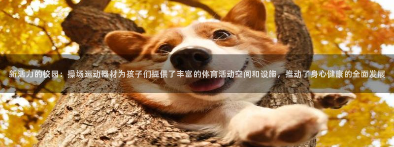 凯捷体育平台注册流程图：新活力的校园：操场运动器材为孩子们提