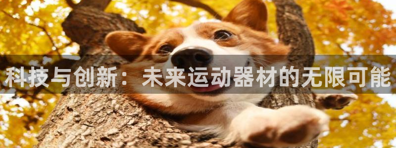 凯捷体育招商电话是多少号码：科技与创新：未来运动器材的无限可