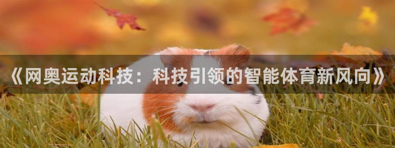 凯捷体育招商电话地址：《网奥运动科技：科技引领的智能