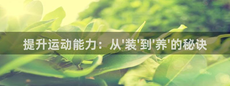 凯捷体育联系电话：提升运动能力：从\'装\'到\'养