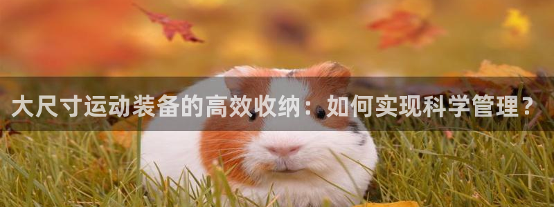 凯捷体育平台是正规平台吗：大尺寸运动装备的高效收纳：
