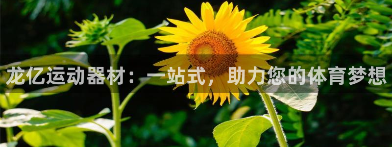 凯捷体育娱乐首页网站大全：龙亿运动器材：一站式，助力