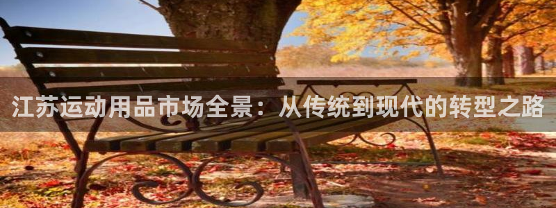 海南凯捷体育：江苏运动用品市场全景：从传统到现代的转