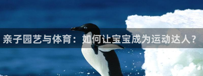 凯捷体育平台是正规平台吗