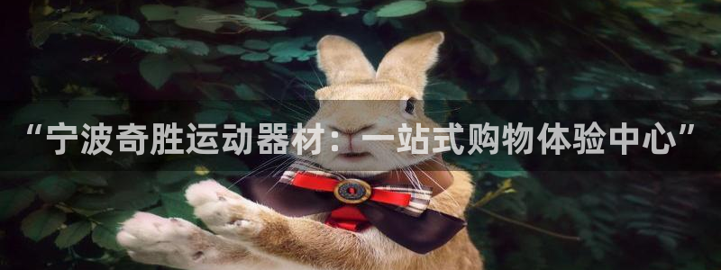 德国凯捷体育集团：“宁波奇胜运动器材：一站式购物体验中心”