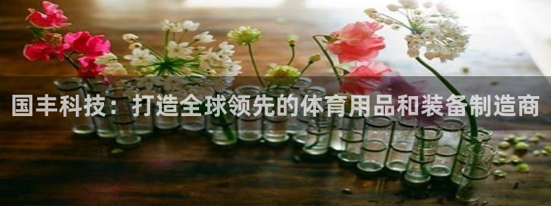 凯捷体育官方客服电话：国丰科技：打造全球领先的体育用品和装备
