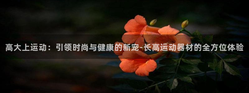 凯捷体育科技：高大上运动：引领时尚与健康的新宠-长高运动器材