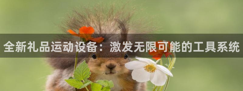 凯捷体育软件：全新礼品运动设备：激发无限可能的工具系统