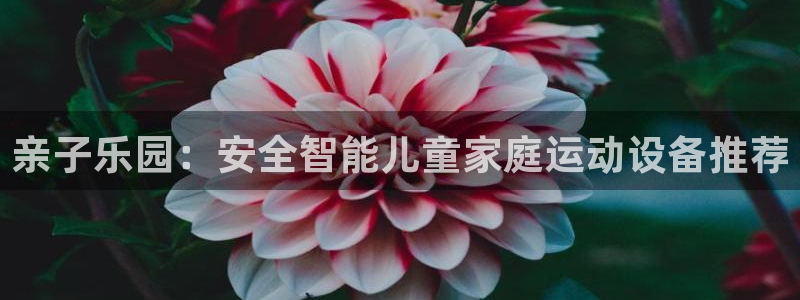 凯捷体育招商电话地址：亲子乐园：安全智能儿童家庭运动