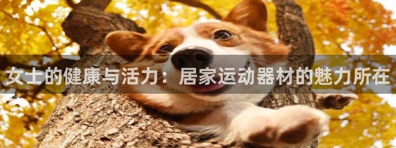 凯捷体育官方：女士的健康与活力：居家运动器材的魅力所在