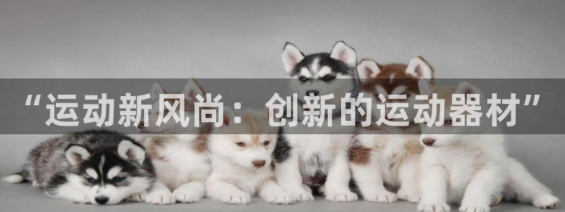 凯捷体育娱乐首页官网下载：“运动新风尚：创新的运动器材”