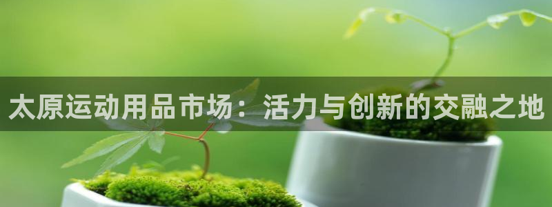 凯捷体育平台注册流程视频：太原运动用品市场：活力与创新的交融