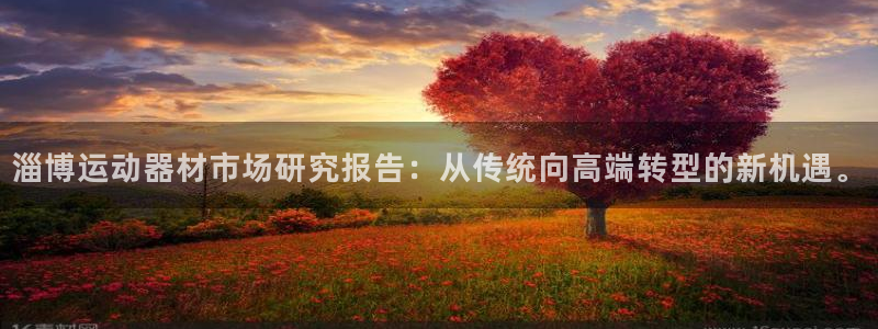 海南凯捷体育发展怎么样：淄博运动器材市场研究报告：从