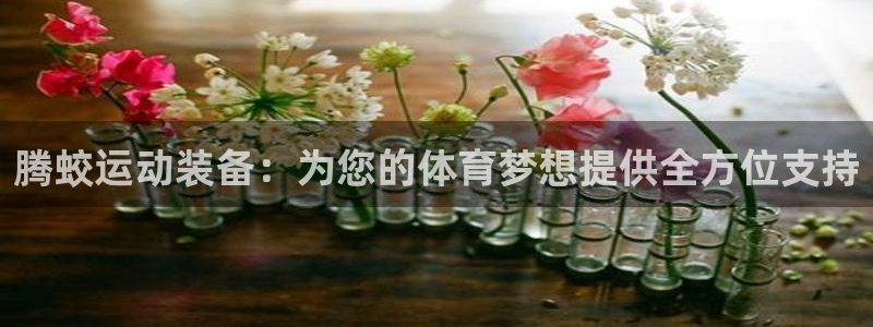 凯捷体育招商电话地址：腾蛟运动装备：为您的体育梦想提