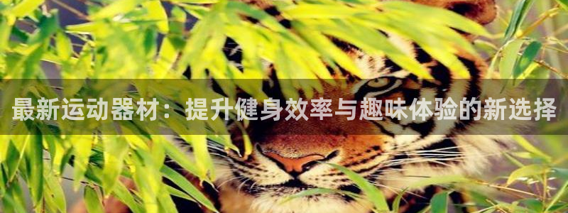 凯捷体育平台注册：最新运动器材：提升健身效率与趣味体