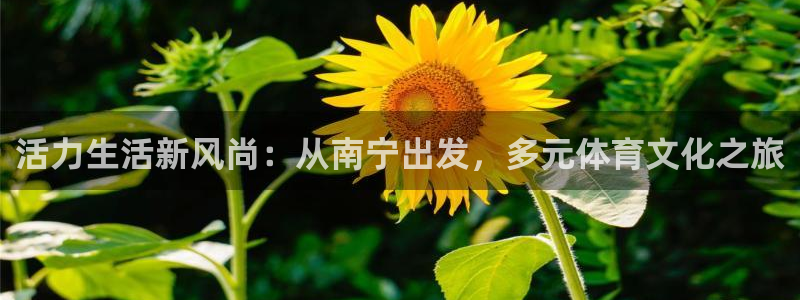 凯捷体育招商电话：活力生活新风尚：从南宁出发，多元体