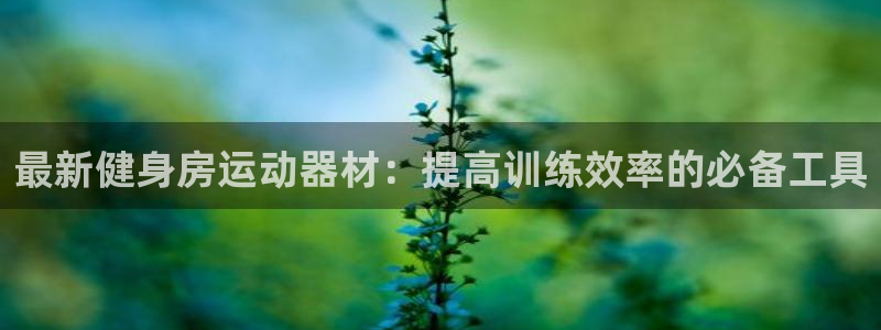 凯捷体育：最新健身房运动器材：提高训练效率的必备工具