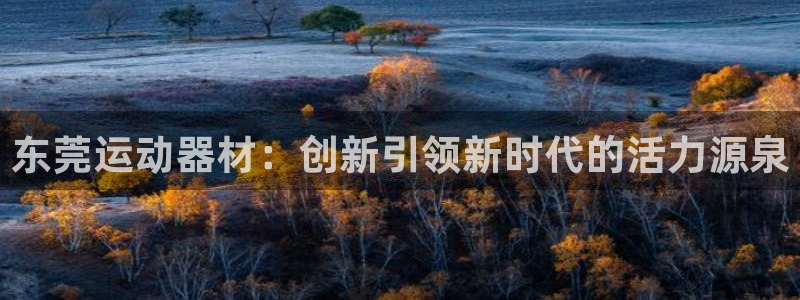 凯捷体育招商电话号码是多少啊：东莞运动器材：创新引领新时代的