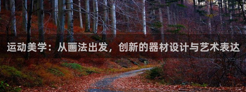 凯捷体育开户:运动美学:从画法出发,创新的器材设计与艺术表达